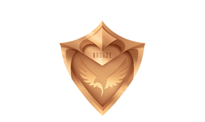 Bronze level membership, image of a bronze shield
